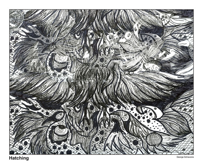 10.16.17feathers181sized